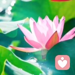 佚名的头像