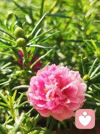 守住生活的基線，未來就不那么艱難
首先，養成相對規律的作息習慣。
其次，至少有一個好朋友。
再次，有一兩個興趣愛好。
最后，用力做好分內的事配圖