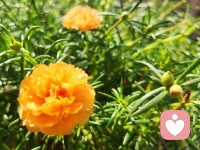 面對想象層面的恐懼，我們可能永遠要都是失敗者。因為，這種恐懼是我們自己制造的，而且會被我們自己不斷加工和放大。
對付這樣的恐懼，最好辦法就是拋開想象，想透一件事的真實后果。配圖