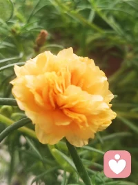 成長，某種程度上就意味著從與別人的互動中，不斷學習如何客觀地看待自己。配圖