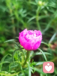 我們的安全感并不來自“糟糕的事永遠不發生”，雖然我們也希望如此。更現實的安全感，是我們相信糟糕的事就算發生，我們也能應對。配圖