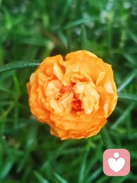 去做一件事，再讓這件事驅(qū)使你去做另一件事，用一個(gè)良性循環(huán)來(lái)替代一個(gè)惡性循環(huán)。
大多數(shù)巨大的轉(zhuǎn)變都是靠我們用數(shù)百個(gè)微不足道、甚至難以察覺(jué)的一小步累積而來(lái)的。配圖