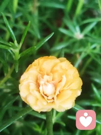 把過去的痛苦和懲罰分開
也許在你過去的經歷中，因為一個小過錯受到過懲罰。這些經歷你沒有忘記，逐漸的積累起來，所以此時此刻的一個小錯，也會勾起對那些事的記憶。
使你感覺就像犯了大錯，要受到很嚴厲的懲罰一樣配圖