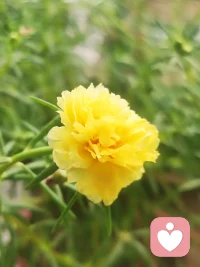 鏡子很臟的時候，我們并不會誤以為是自己的臉臟；那為什么別人隨口說出糟糕的話時，我們要覺得糟糕的是我們自己？配圖