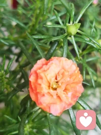 所有你內(nèi)在的痛苦，都會(huì)無法避免的投射到外在世界。所有你心里的爭戰(zhàn)，最終都會(huì)成為與世界的爭戰(zhàn)。配圖