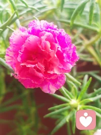 孩子六歲之前，是一個人的人格形成的關鍵時期，在這個階段跟父母的分離，其壞的影響怎么估計都不會過分。
孩子對這樣的分離還不可能產生清晰的理性判斷，但他會感覺到，他是他最信任、最依賴、最需的、最需要的人，離開了他，把他“拋棄”了，這種感覺會很深的。種植在他的心中，是他不能再相信任何親密關系。
成年之后，在他有可能跟一個人發展成親密關系的時候，內心害怕被拋棄的恐懼感就會被激活，使他逃避這種關系，以避免重蹈覆轍。配圖