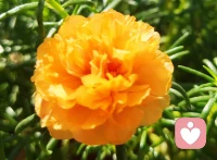 與他人建立真正親密關系的唯一途徑是毫不依賴。
只有不害怕被拋棄，才能活得愈發隨心所欲；只有不纏著我們的愛人去承諾什么，對方才能在沒有負擔的情況下，回應我們的愛。配圖