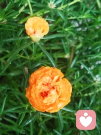 有時候，走得快有走得快的孤獨與明朗，走得慢有走得慢的擁擠和自在。配圖