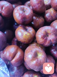 人生最美好的享受，一是生命的祥和，二是靈魂的安寧。若獨(dú)處是享受靈魂的安寧，團(tuán)圓便是享受生命的祥和。配圖