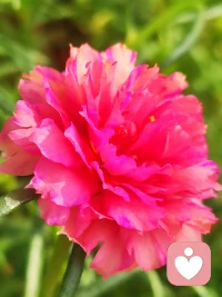 怎么看一個人？看他在有沖突時的反應，那時候他的那個“真”就露出來了，平常日子是不作數的。配圖