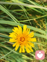 其實沒有別的什么能真正傷害你，唯一能傷害你的，是你的在意。配圖