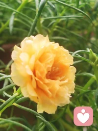 孩子可能需要懂得父母的許多情感反應(yīng)存在不足之處，但這不是因?yàn)樽优豢蓯?ài)，而是因?yàn)楦改缸约河芯窒蕖?做父母的需要明白，孩子想從他們那里得到的不只是錢。配圖