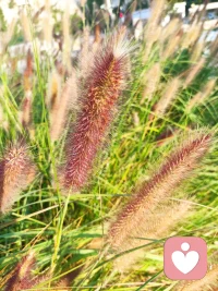 “允許別人和自己不一樣，允許自己和別人不一樣。”理解了前半句，就能做到包容，理解了后半句，就敢活出自我。配圖