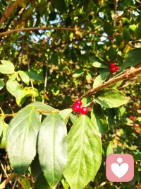 人生之中，一切真正重要的東西，都不是可以通過爭吵、抱怨、指責(zé)所能得到的，所以我們不爭吵、不抱怨、不指責(zé)。
在親密關(guān)系中，如果你沒有得到你想得到的東西，不是對(duì)方不愿意，而是不能夠。（曾奇峰）配圖