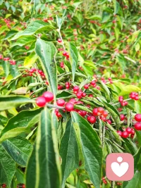 愛吃東西的人，都是好人。因?yàn)樗麄冏非竺朗?，沒有時(shí)間去害人。配圖