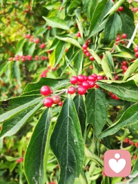 煲湯所用的最昂貴的材料，并不是任何一種食物，而是時間。配圖