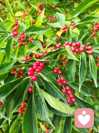 時光易逝，光影成詩。配圖