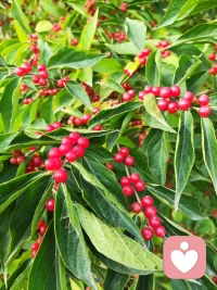 邊界感，就是他人和自己交往時，識別到的那個有可能說“不”的地方。配圖