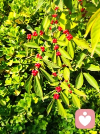 對生命而言，
接納才是最好的溫柔，
不論是接納一個人的出現(xiàn)，
還是接納一個人的從此不見。配圖