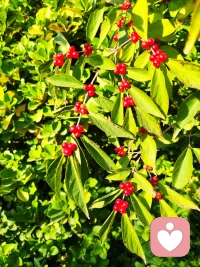 我們太容易把生活視作線性的、前進的、向上的過程。
但生活恰恰是螺旋的、有進有退、迂回曲折的。配圖