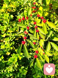 幸福感的一個標準，是可不可以常常保持對不喜歡的事情說不要。配圖