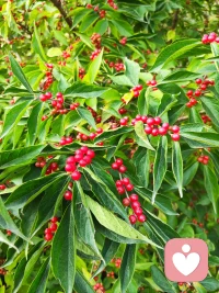 找到一個真心喜愛的興趣愛好，付出時間和耐心，用心打磨，你收獲的將不只是一個拿得出手的愛好；
更重要的，還有一個脫胎換骨的自己。配圖