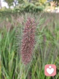 任何一件事，只要心甘情愿，總能夠變得簡單，不會有任何復(fù)雜的借口和理由。配圖