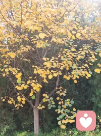 你所看到的風景，記憶中的東西，對事物的理解，都取決于你站在何處。配圖