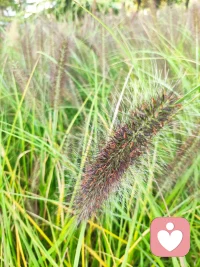 認為“我對別人好所以別人也必須對我好”是一種幼稚的暴力。配圖