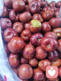 自由是很難的，需要為自己負(fù)責(zé)的意志、勇氣和能力。相反，服從是很容易的，責(zé)任全是別人的。（ 弗洛姆）配圖