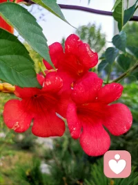 沒有一種覺醒是不帶著痛苦的。（ 榮格）配圖