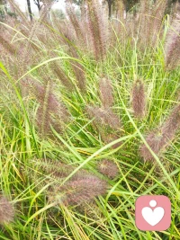 太在意別人的視線和評(píng)價(jià)，才會(huì)不斷尋求別人的認(rèn)可。對(duì)認(rèn)可的追求，才扼殺了自由。
由于不想被任何人討厭，才選擇了不自由的生活方式。換言之，自由就是不再尋求認(rèn)可。（ 阿德勒）配圖