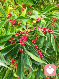 生命沒(méi)有那么分秒必爭(zhēng)。覺(jué)得亂的時(shí)候，就停下來(lái)把自己整理清楚。然后再出發(fā)。沉住氣，忠于內(nèi)心，生命才飽滿。配圖