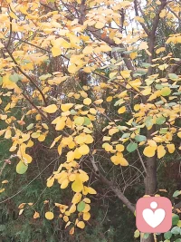 我認為沒有人能“讓”我們產生什么感受，除非他們用蠻力脅迫你。
說到底，是我們“選擇”了自己的感受。我們“選擇”了憤怒。我們“選擇”了悲傷。（《蛤蟆先生去看心理醫生》）配圖