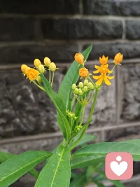 沒有白走的路，每一步，都算數配圖