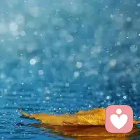 我不想用欢乐将我心中的忧伤换掉，也不愿让我那发自肺怆然而下的泪水变成欢笑。我希望我的生活永远是泪与笑……
泪表达出我痛心与悔恨，笑则流露出我对自己的存在感到幸福和欢欣。