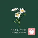 倾灵暖魂的头像