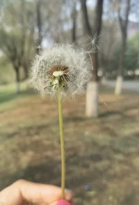 快樂的秘訣～～終身成長配圖