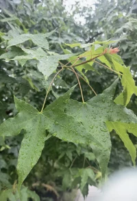 每個人都應該學會從愛自己的人那里享受生活，從不愛自己的人那里去看清世界…配圖