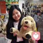 温婉如风的头像