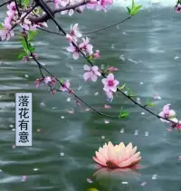 一段感情中，如果我們已經盡了自己最大的努力,但對方仍然不珍惜,那么我們就應該考慮先暫停，不要把自己放在一個不健康的關系中,讓自己承受自己無法承受的痛苦和傷害。