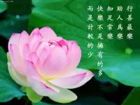 有種人心態一般比較謹慎、穩重、尊重他人。這種心態往往會在行動之前認真思考,權衡利弊,避免沖動行事。他們也尊重長輩,不會輕易頂撞他們,而是會傾聽他們的意見和建議。
這種心態有一定的優點,可以幫助我們更好地控制自己的情緒,避免做出沖動的決定。也可以讓我們更加尊重他人,建立良好的人際關系。
但是,這種心態也有一些缺點,可能會讓我們過于謹慎,錯過一些機會。也可能會讓我們過于依賴他人的意見和建議,無法自主做出決定。
因此,我們應該在保持謹慎的同時,也要學會把握機會,勇于自主做出決定。同時,也要學會傾聽他人的意見和建議,但不要過于依賴他們。