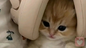 零