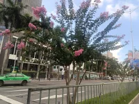 療愈自己，疏通內心，不精神內耗，才是最高層次的幸福。配圖
