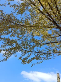 透過(guò)秋天賞藍(lán)天，品四季的輪換，仰望遠(yuǎn)方的宇宙。配圖