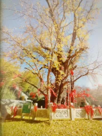 结婚后，如果能在闲暇之余，偶尔浪漫主义也能给情感加温！