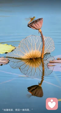 請一定關(guān)愛自己；
也許你不知道，自己的各個狀態(tài)在努力平衡著你自己與外界的關(guān)系！配圖