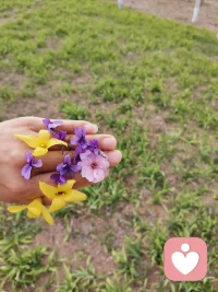 你是否也常常这样：
爸妈一句话，
就让你瞬间委屈、心慌，半天缓不过来
总先想着别人，
自己的需求不敢说，怕被说“不懂事”
明明没做错事，
却总觉得“我不够好”，忍不住怪自己
夜深人静时，
心里空落落的，像有个小孩在偷偷难过
想好好爱自己，
却总在关系里受伤，不知道问题出在哪……

其实，这些都不是你的错
它们是童年留下的小伤口
现在还在隐隐作痛
过去的创伤不会自己消失
但我们可以学着慢慢疗愈它配图