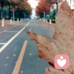 晓风破残月的头像