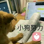 我不容易被发现的头像